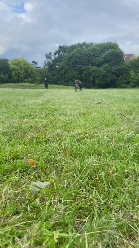 Post 3 by twolesbiansandastaffy on TikTok (video)