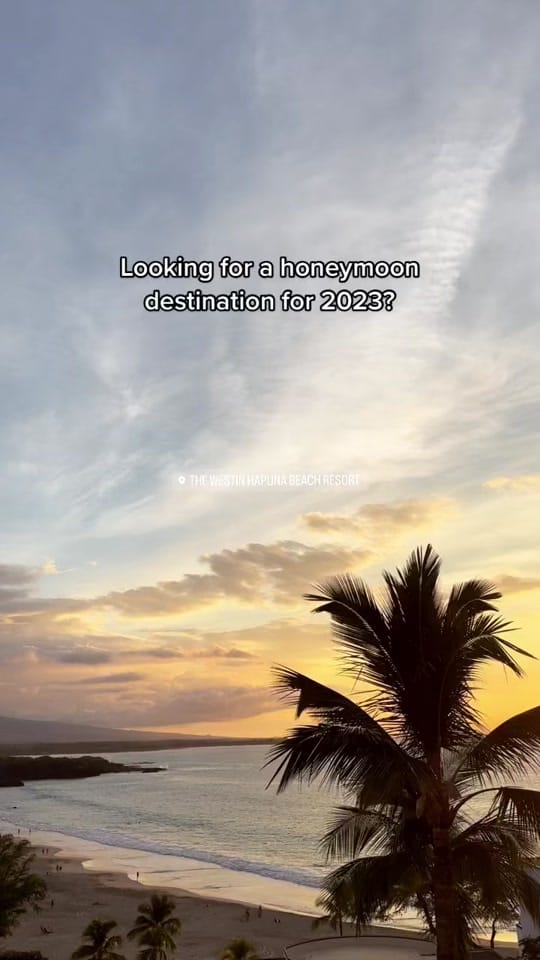 Post 8 by Brittany McNabb on TikTok (video)