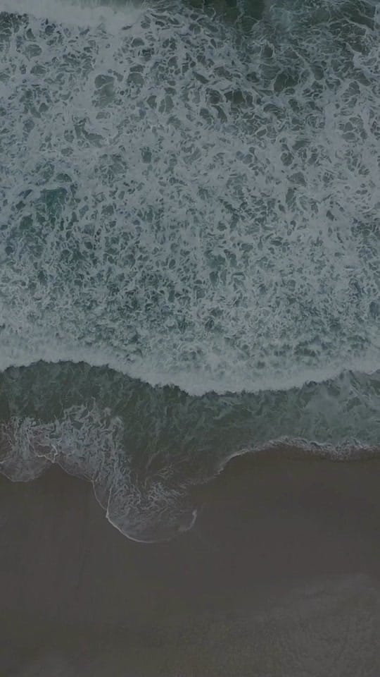 Post 3 by J. Michael Leary, MD on TikTok (video)