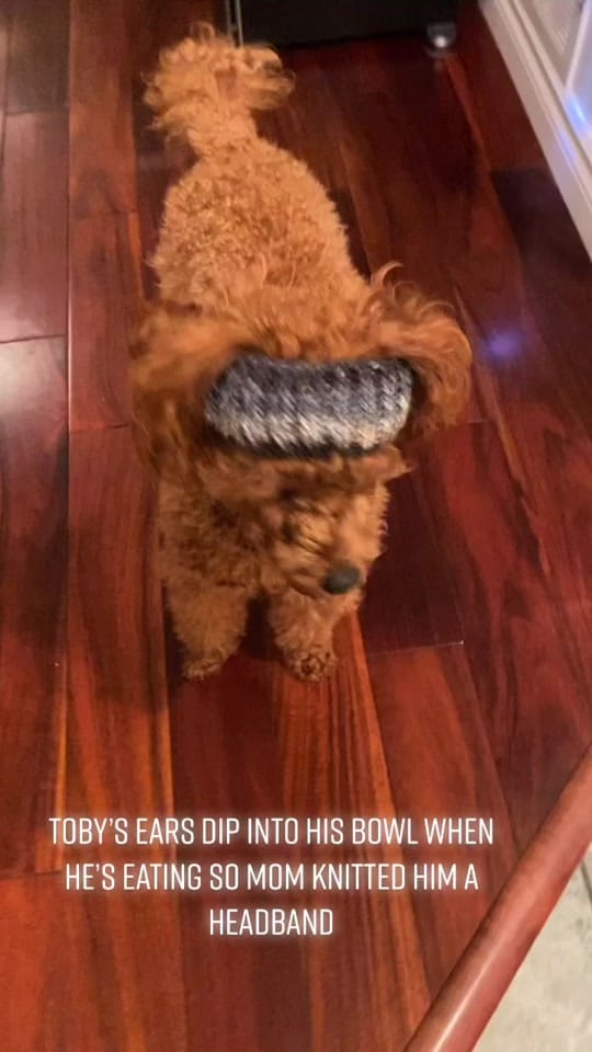 Post 10 by Anastasiya 🤍 on TikTok (video)