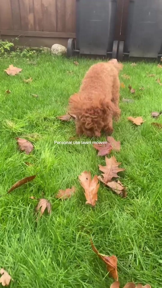Post 7 by Anastasiya 🤍 on TikTok (video)
