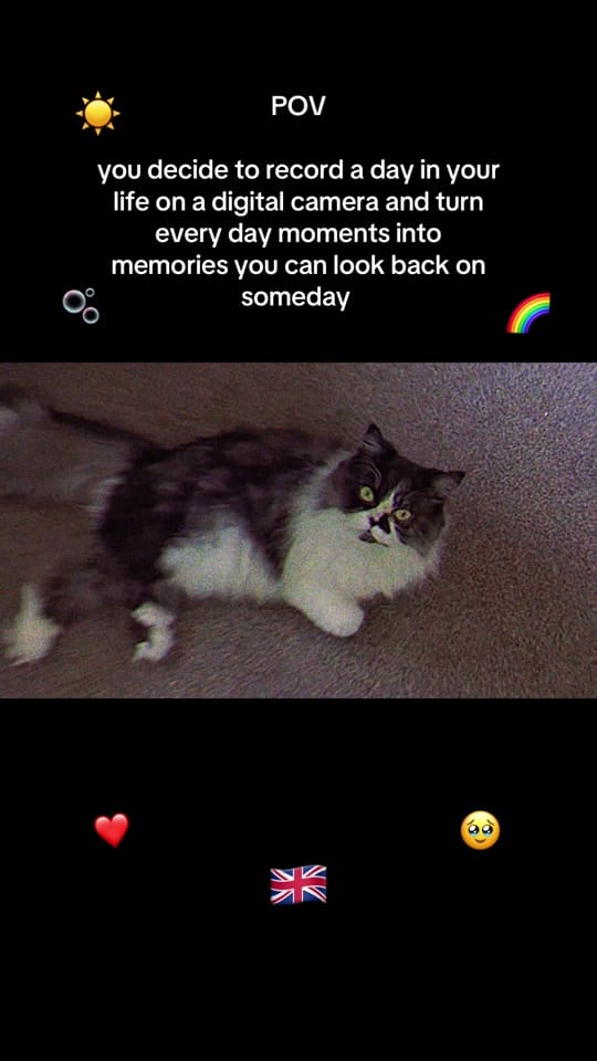Post 4 by Ola on TikTok (video)