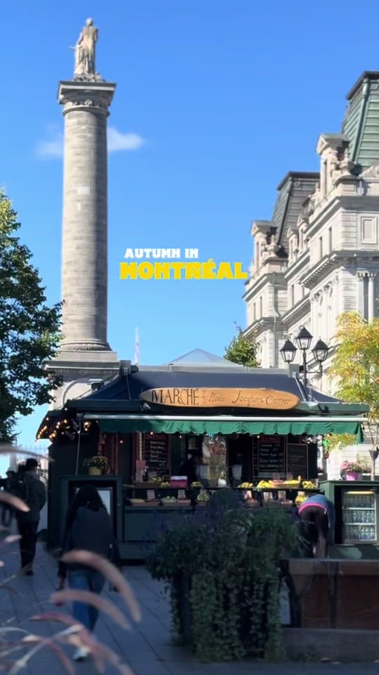 Post 6 by the.audventures on TikTok (video)