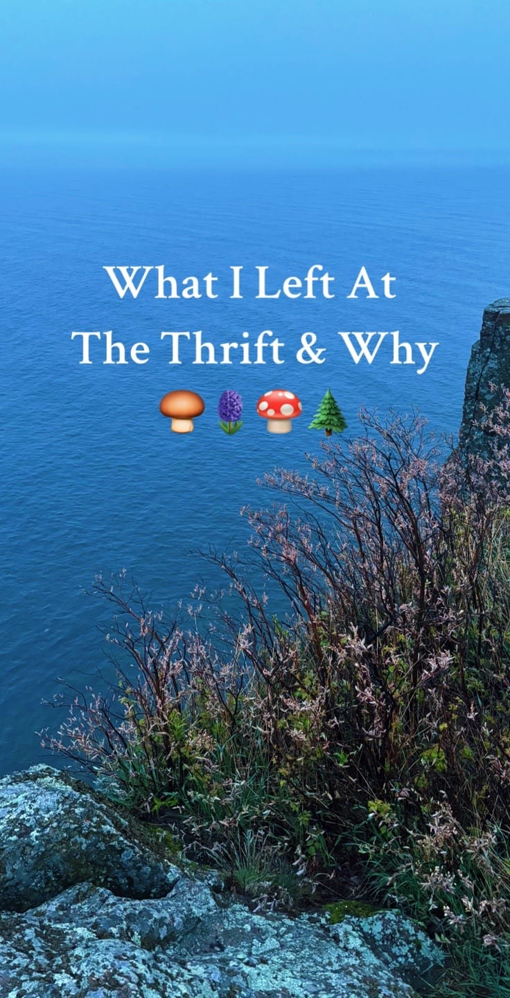 Post 8 by Cat🪻🐌🌲 on TikTok (video)