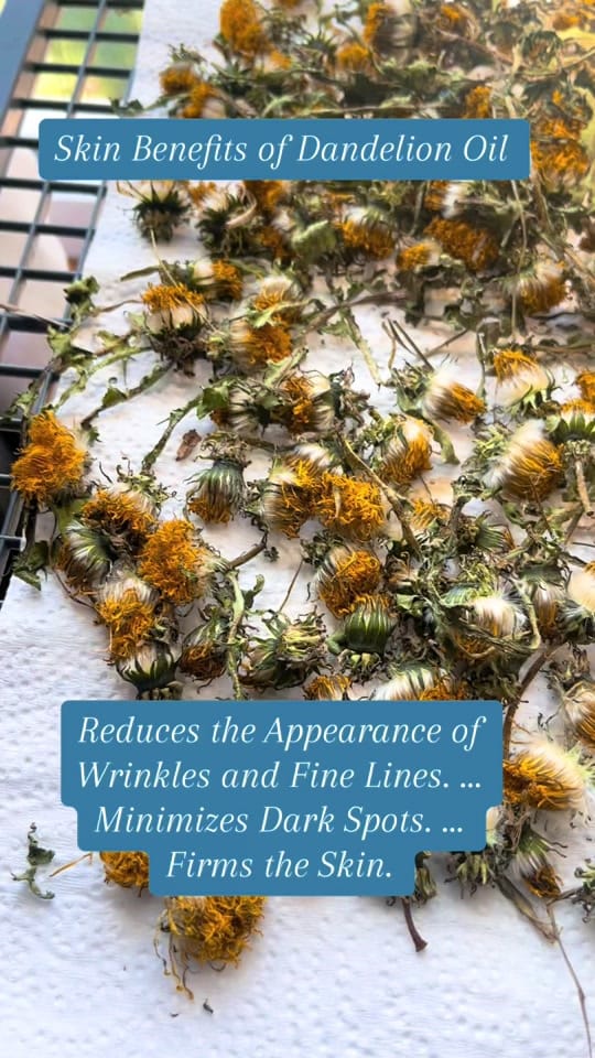 Post 8 by Lavender Farms Soaps Etsy on TikTok (video)