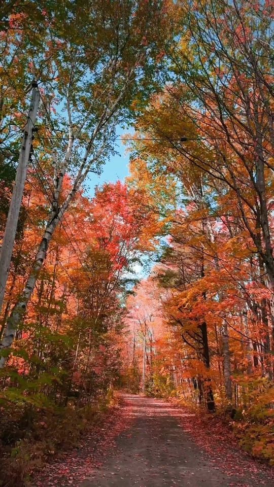 Post 3 by Sanjay on TikTok (video)