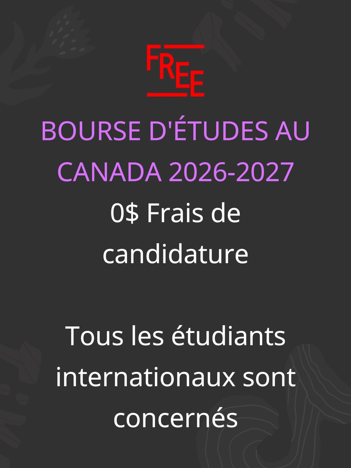 Post 6 by STUDY TRAVEL CANADA 󱢏 on TikTok (video)
