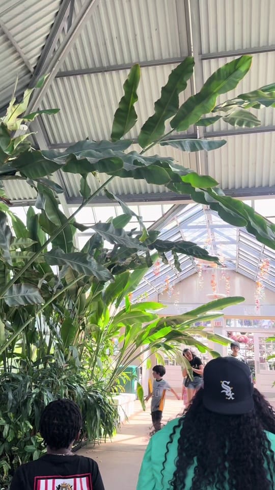 Post 3 by Jei 🌸 on TikTok (video)