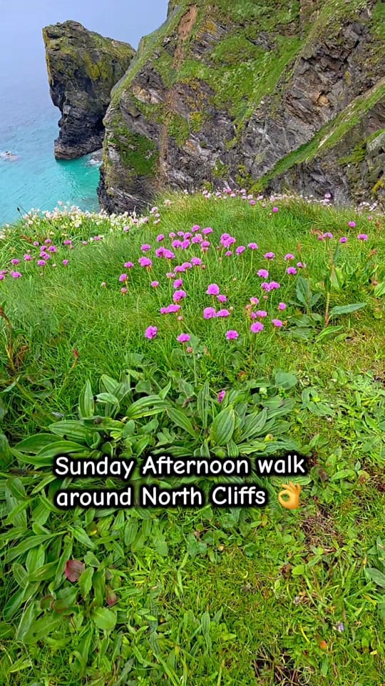 Post 7 by CornwallUKadventures-Graham on TikTok (video)