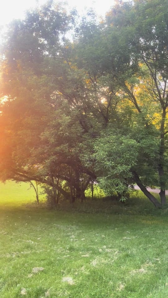 Post 1 by ProducahMan on TikTok (video)