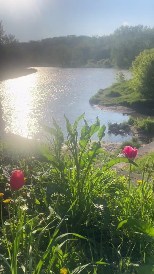 Post 3 by ProducahMan on TikTok (video)