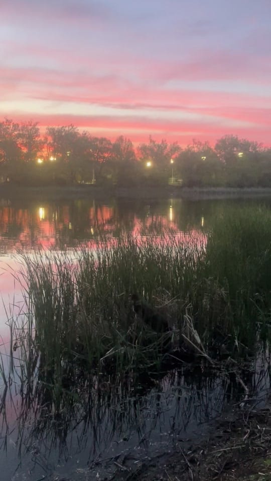 Post 2 by ProducahMan on TikTok (video)