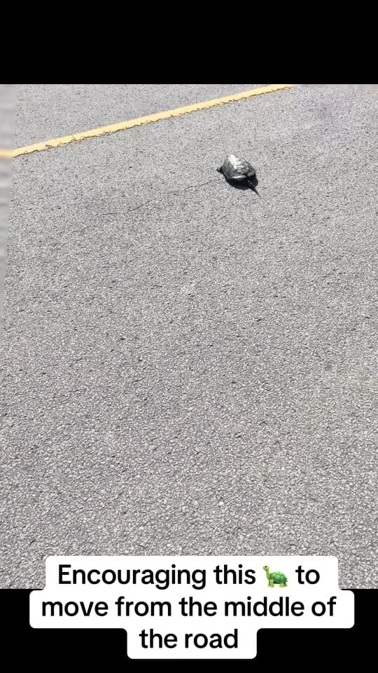 Post 6 by ProducahMan on TikTok (video)