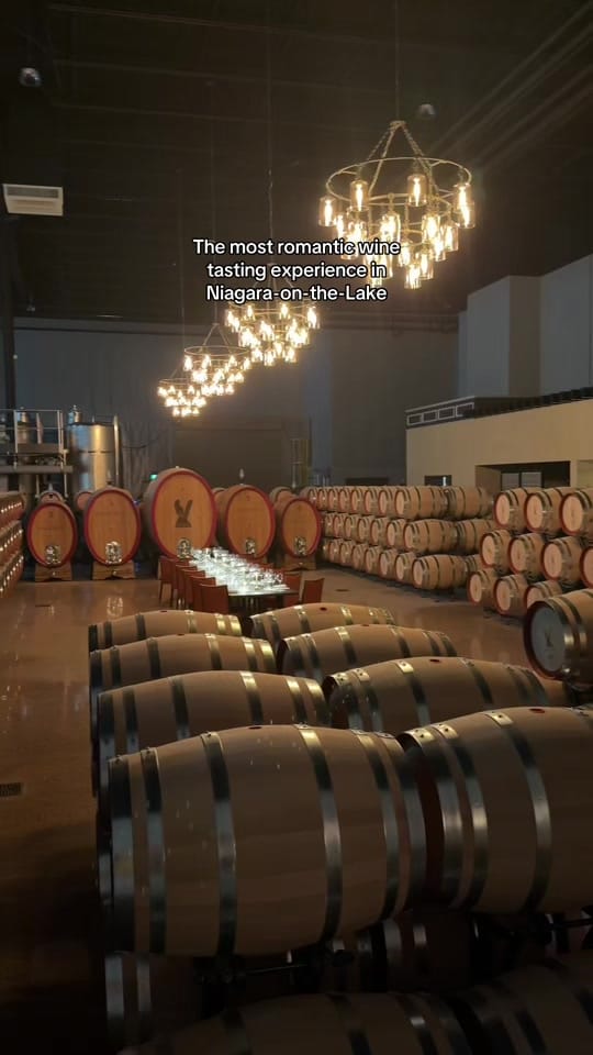 Post 3 by Alessandra 🇨🇦 on TikTok (video)
