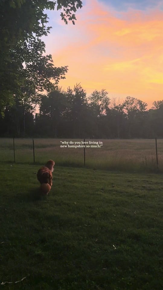 Post 10 by Rebecca on TikTok (video)