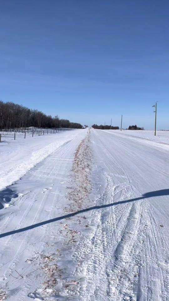 Post 10 by lyndoninthewild 🇨🇦 on TikTok (video)
