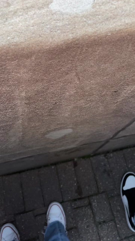 Post 10 by Anna Shanagher on TikTok (video)