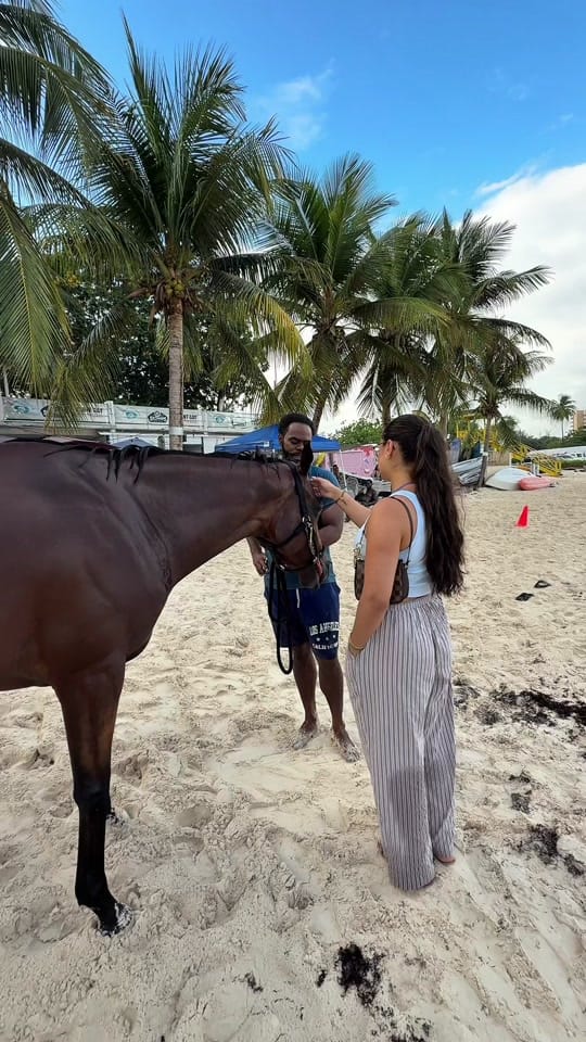Post 9 by DineinToronto on TikTok (video)