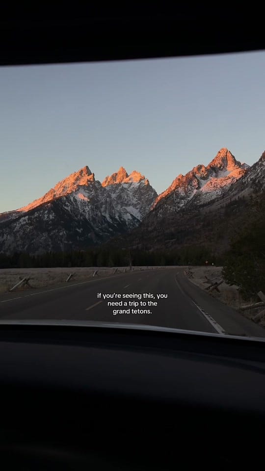 Post 3 by Phillip Gosek on TikTok (video)