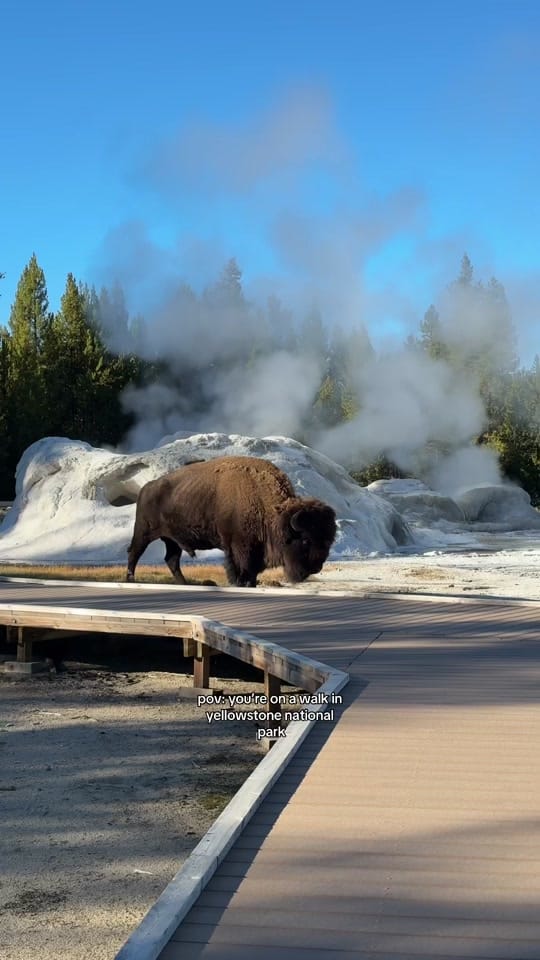 Post 2 by Phillip Gosek on TikTok (video)