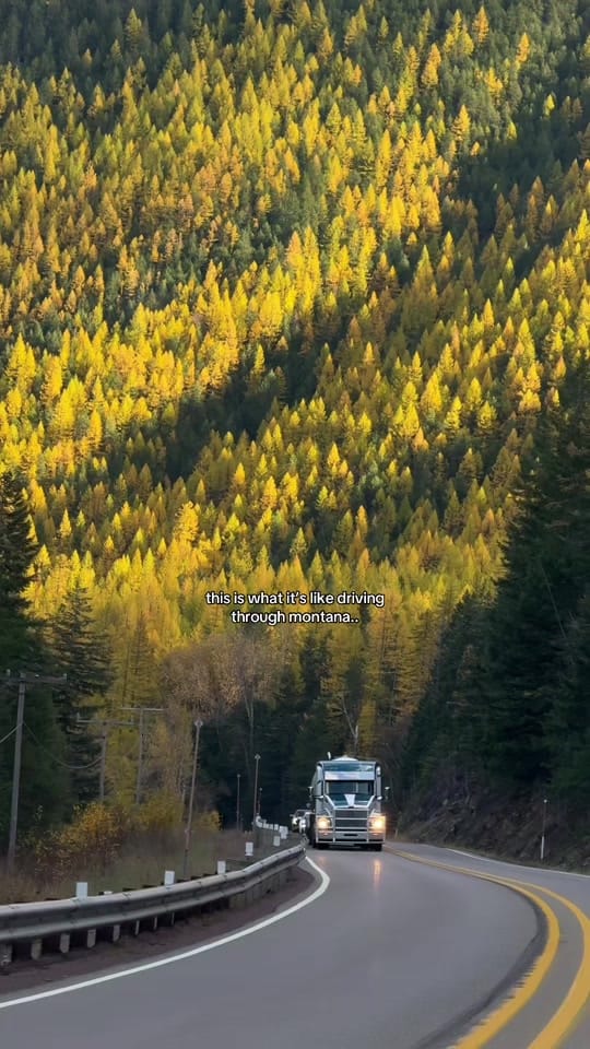 Post 10 by Phillip Gosek on TikTok (video)