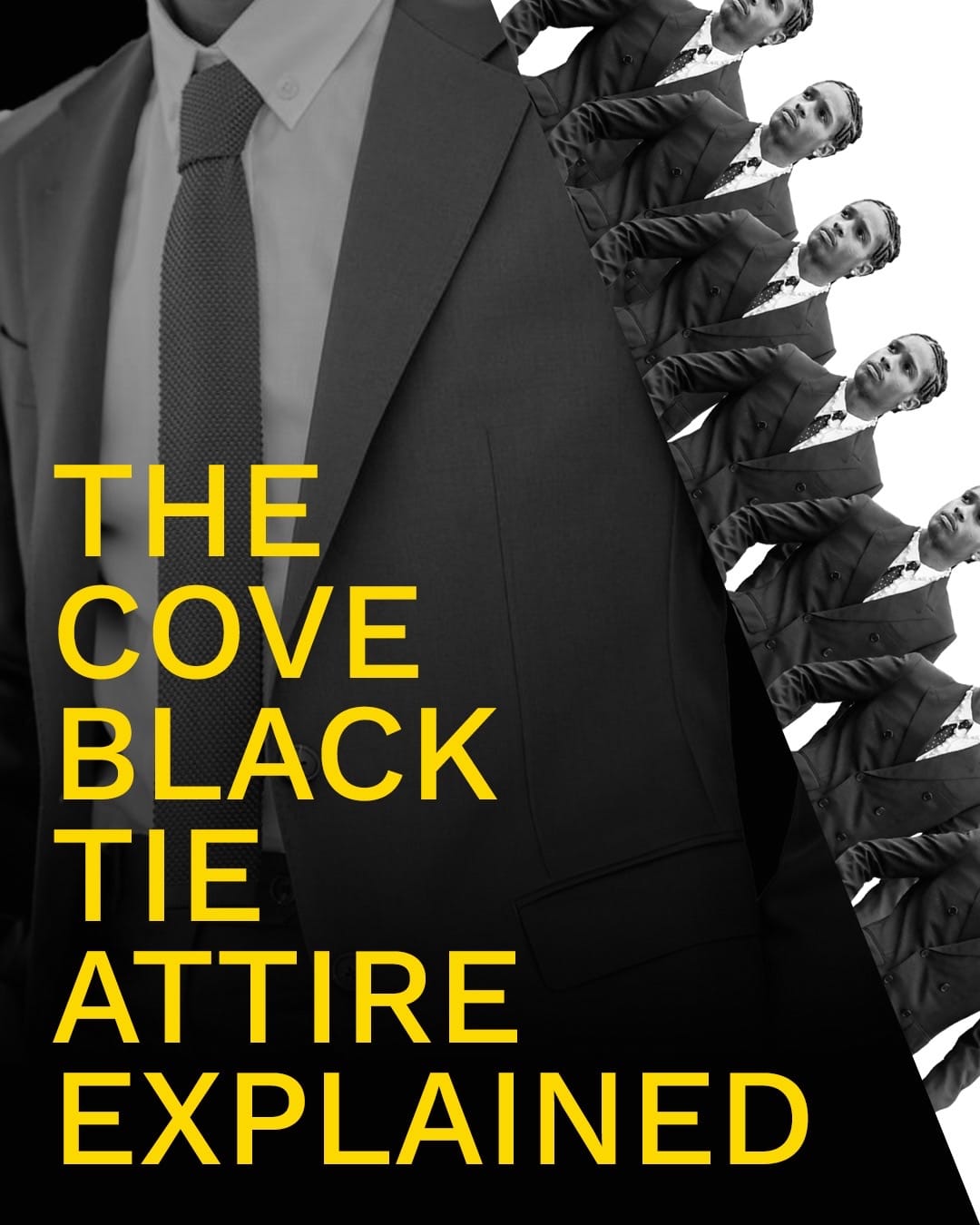 Post 6 by The Cove on TikTok (video)