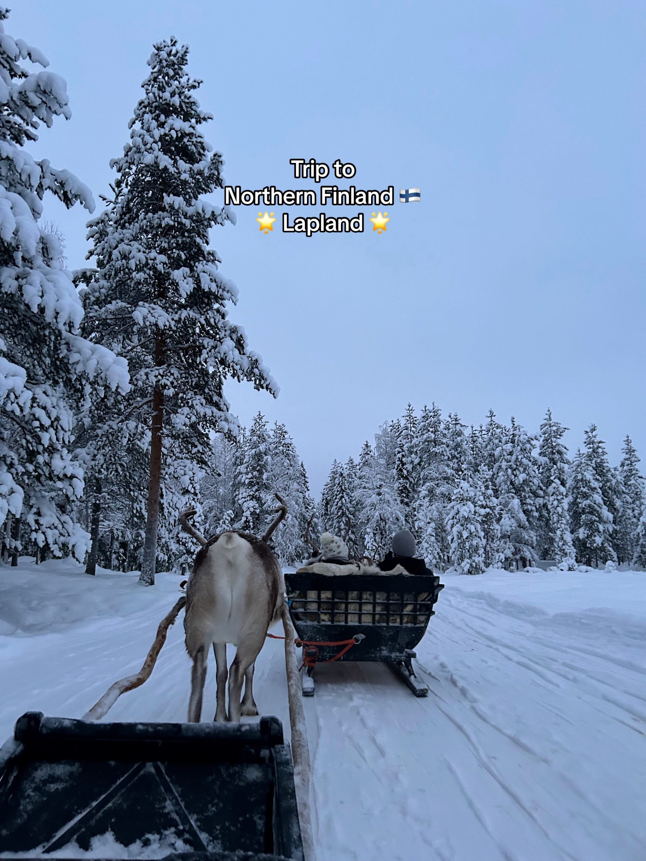 Post 10 by Sara ✨ on TikTok (video)