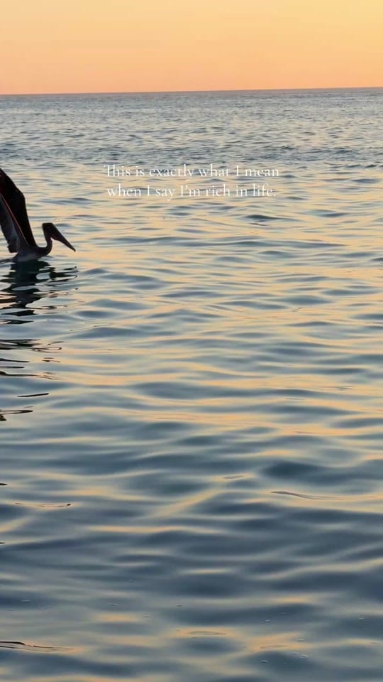 Post 5 by Tasha 🌴🥥🐊🐚 🇨🇿 on TikTok (video)