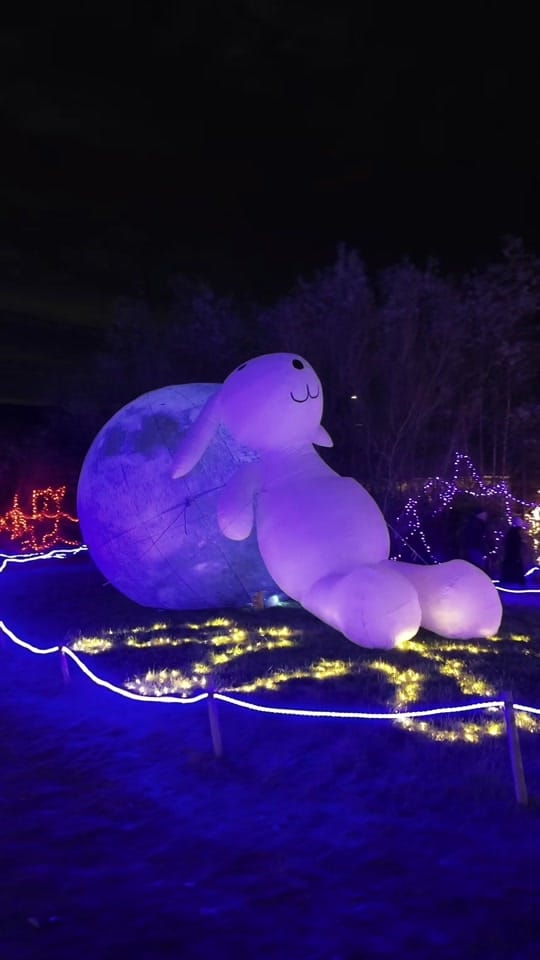 Post 2 by 🎅Winterval Waterford🎅 on TikTok (video)