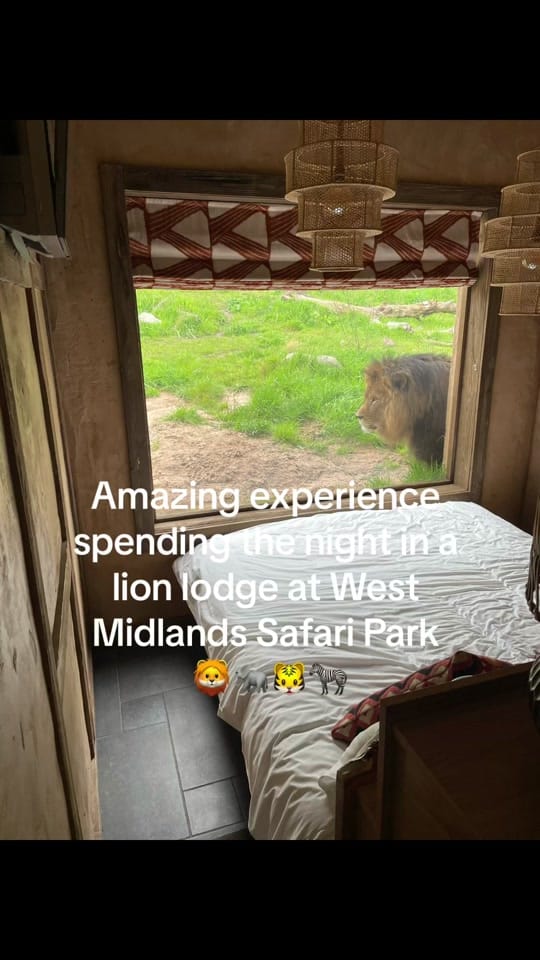 Post 9 by Carly McLeod on TikTok (video)