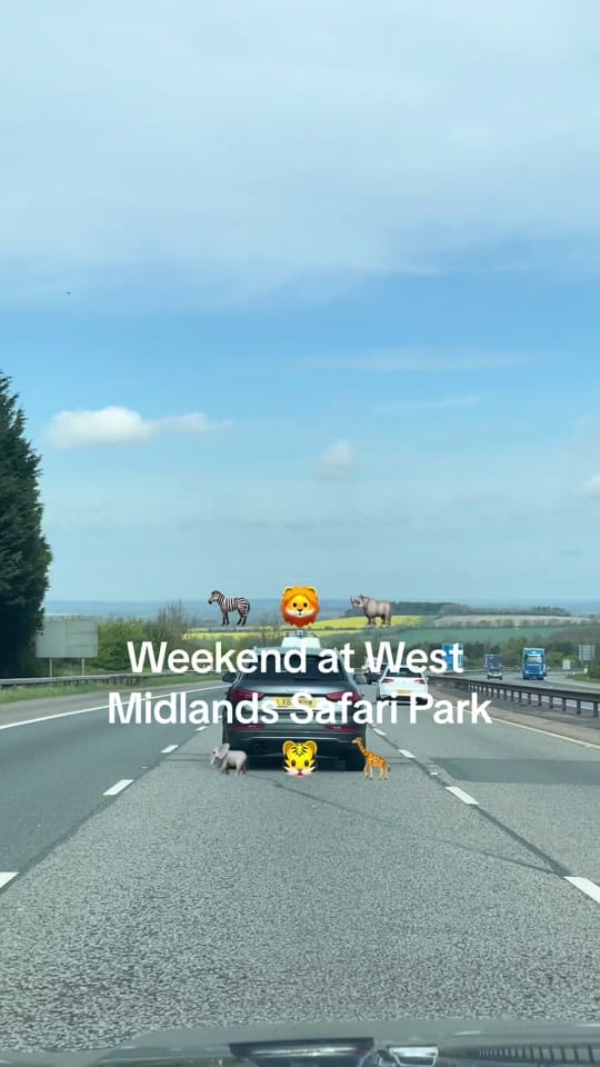 Post 8 by Carly McLeod on TikTok (video)