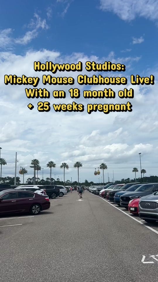 Post 6 by rebekahafisher on TikTok (video)