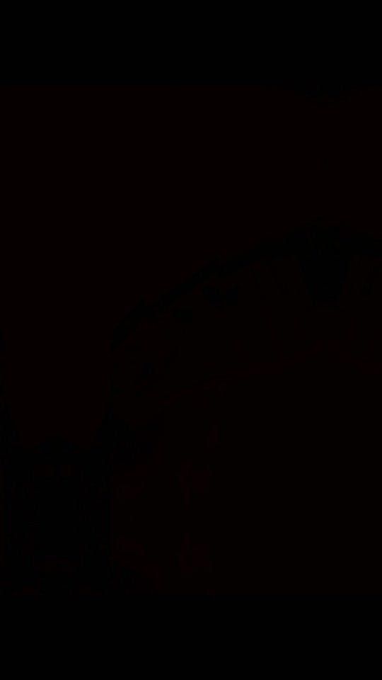 Post 2 by FlatCapAdventurers on TikTok (video)