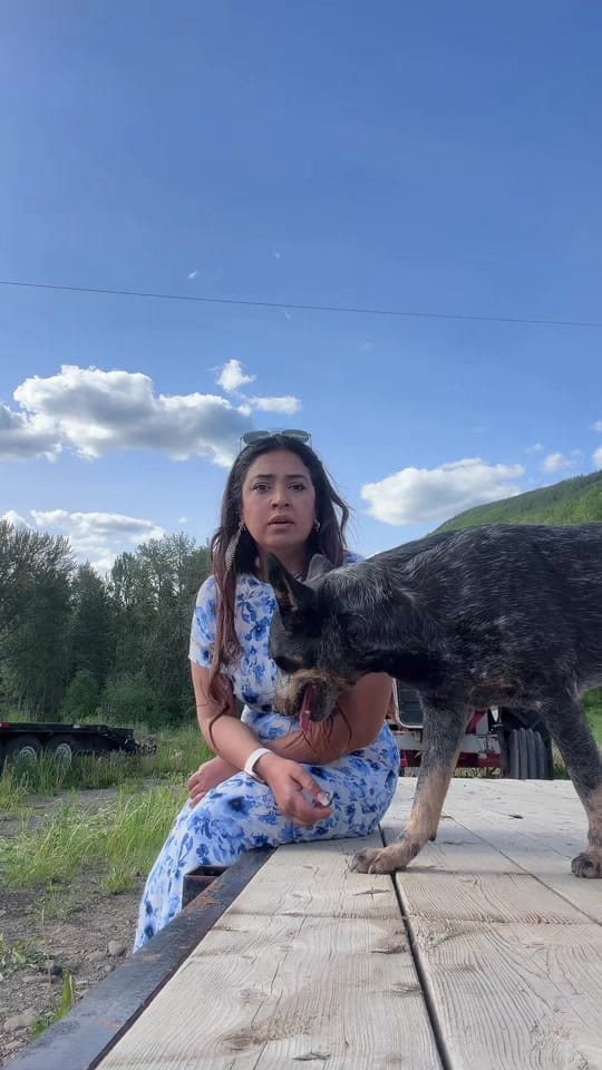 Post 1 by Warraich Sher of MBDin on TikTok (video)