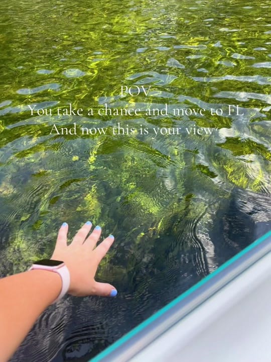 Post 6 by Misty Babbitt 🌻 on TikTok (video)