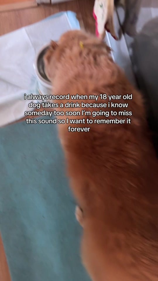 Post 9 by tasharyland on TikTok (video)