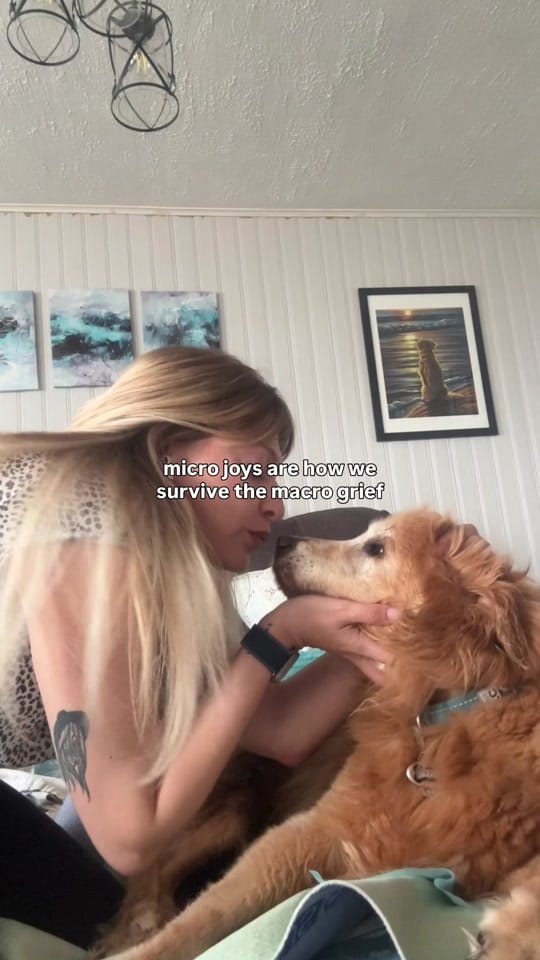 Post 6 by tasharyland on TikTok (video)