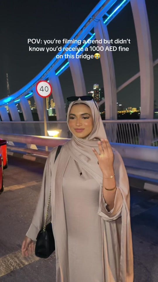 Post 9 by Fariha S on TikTok (video)