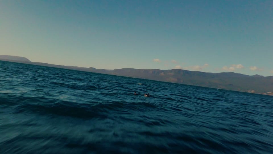 Post 5 by pipegalvezz on TikTok (video)