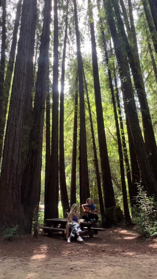 Post 3 by LVDY on TikTok (video)