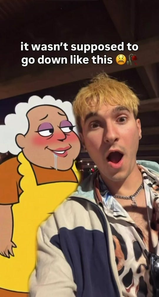 Post 5 by reallybambi on TikTok (video)
