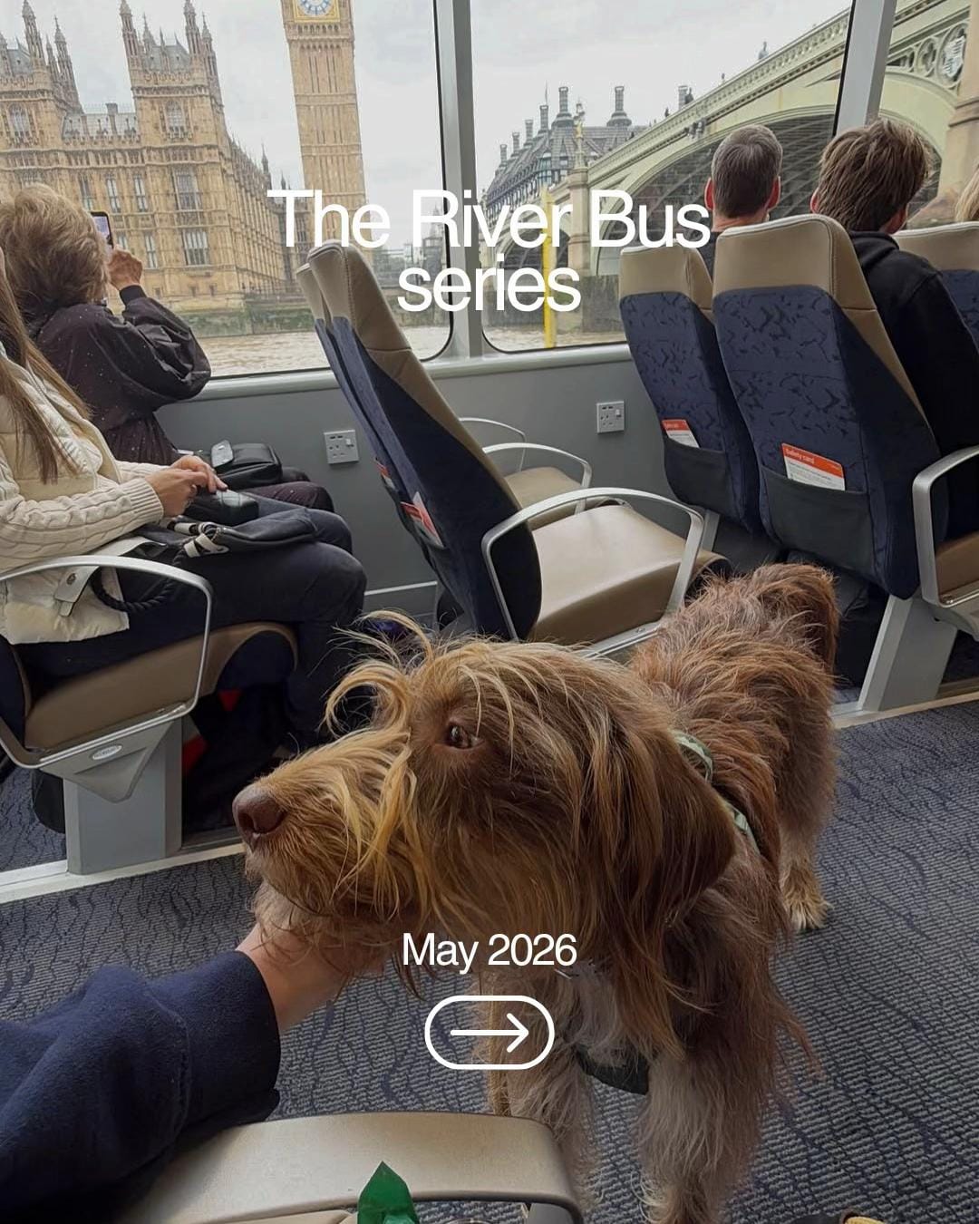 Post 3 by Uber Boat by Thames Clippers on TikTok (video)