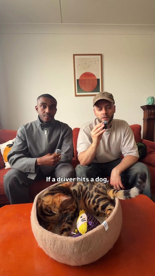 Post 3 by Lupin in London on TikTok (video)