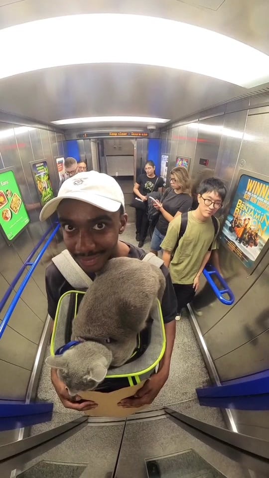 Post 10 by Lupin in London on TikTok (video)
