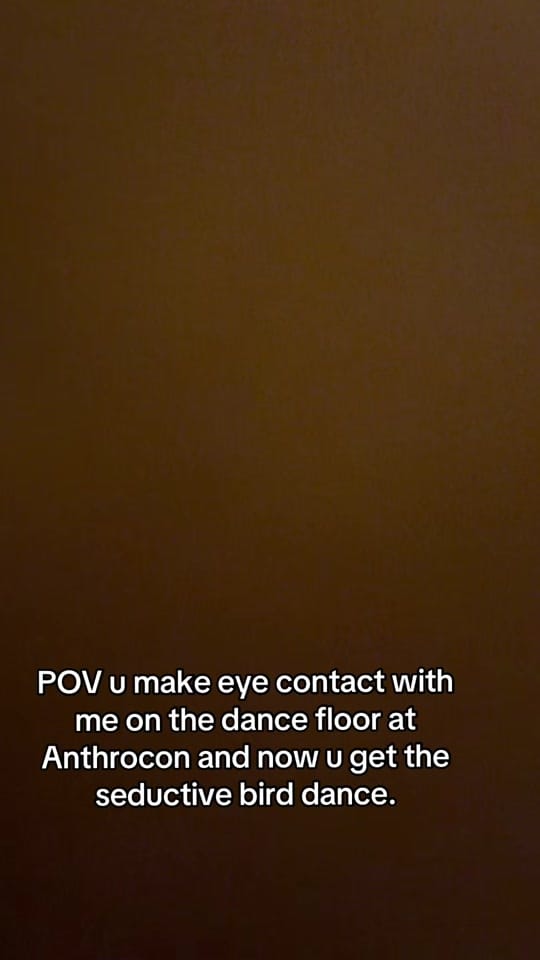 Post 2 by FurventOkie🔜AnthroCon on TikTok (video)