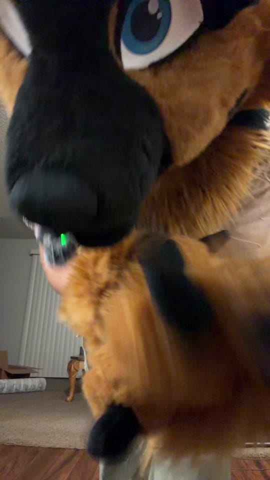 Post 1 by FurventOkie🔜AnthroCon on TikTok (video)