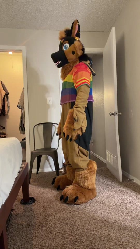 Post 6 by FurventOkie🔜AnthroCon on TikTok (video)