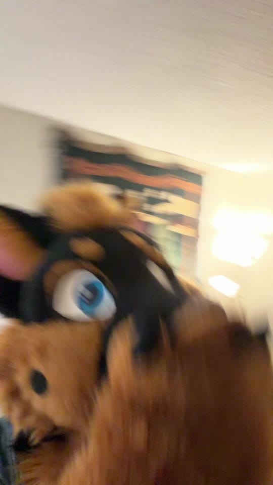 Post 8 by FurventOkie🔜AnthroCon on TikTok (video)
