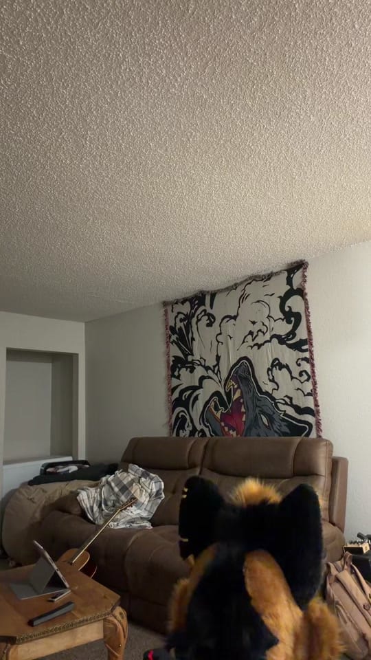 Post 7 by FurventOkie🔜AnthroCon on TikTok (video)