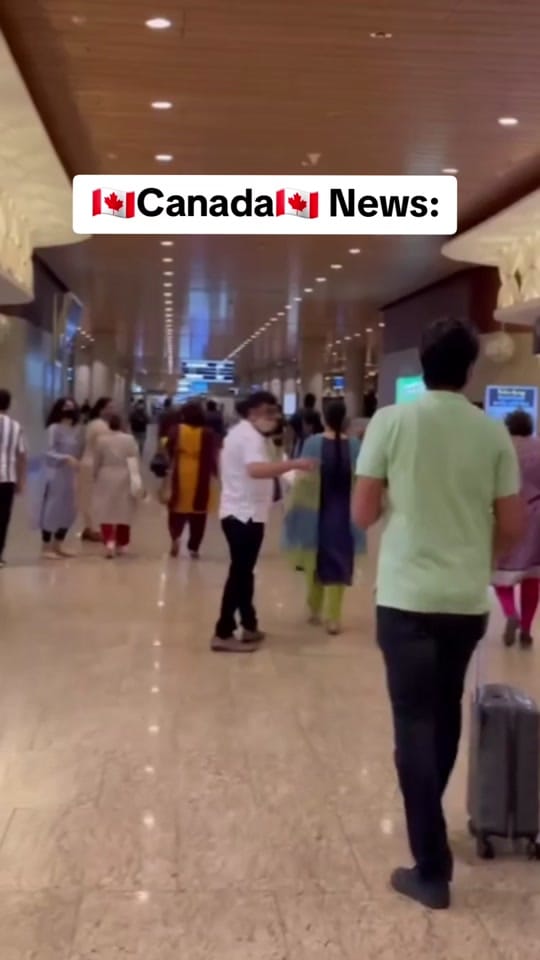 Post 2 by Aucan Group on TikTok (video)